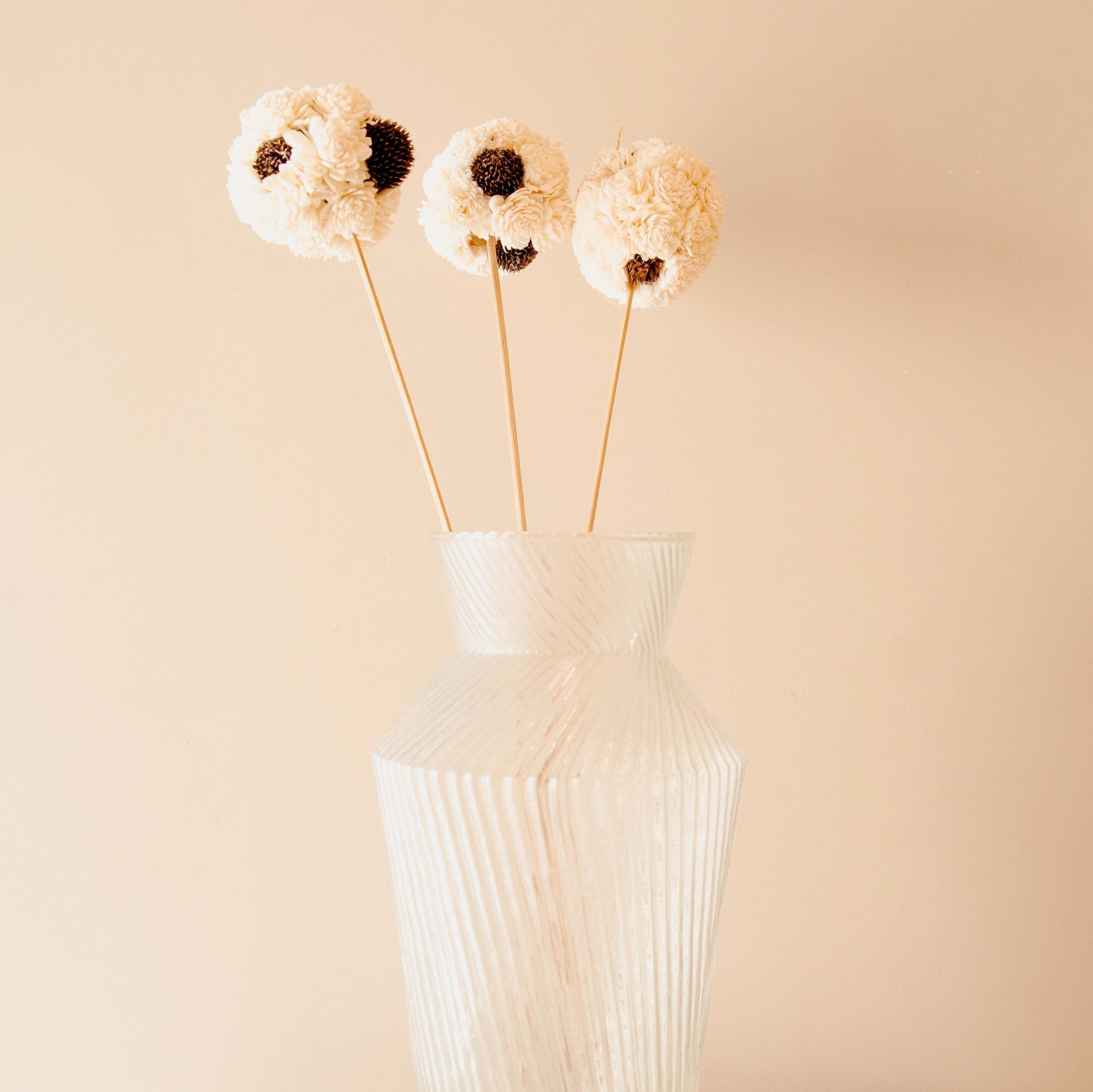 Sola balls - White - https://artecasa.in/