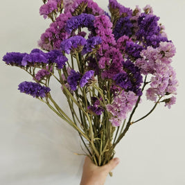 Statice Bunch dried flowers for vase decor and home styling by ArteCasa
