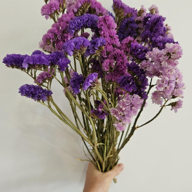 Statice Bunch dried flowers for vase decor and home styling by ArteCasa