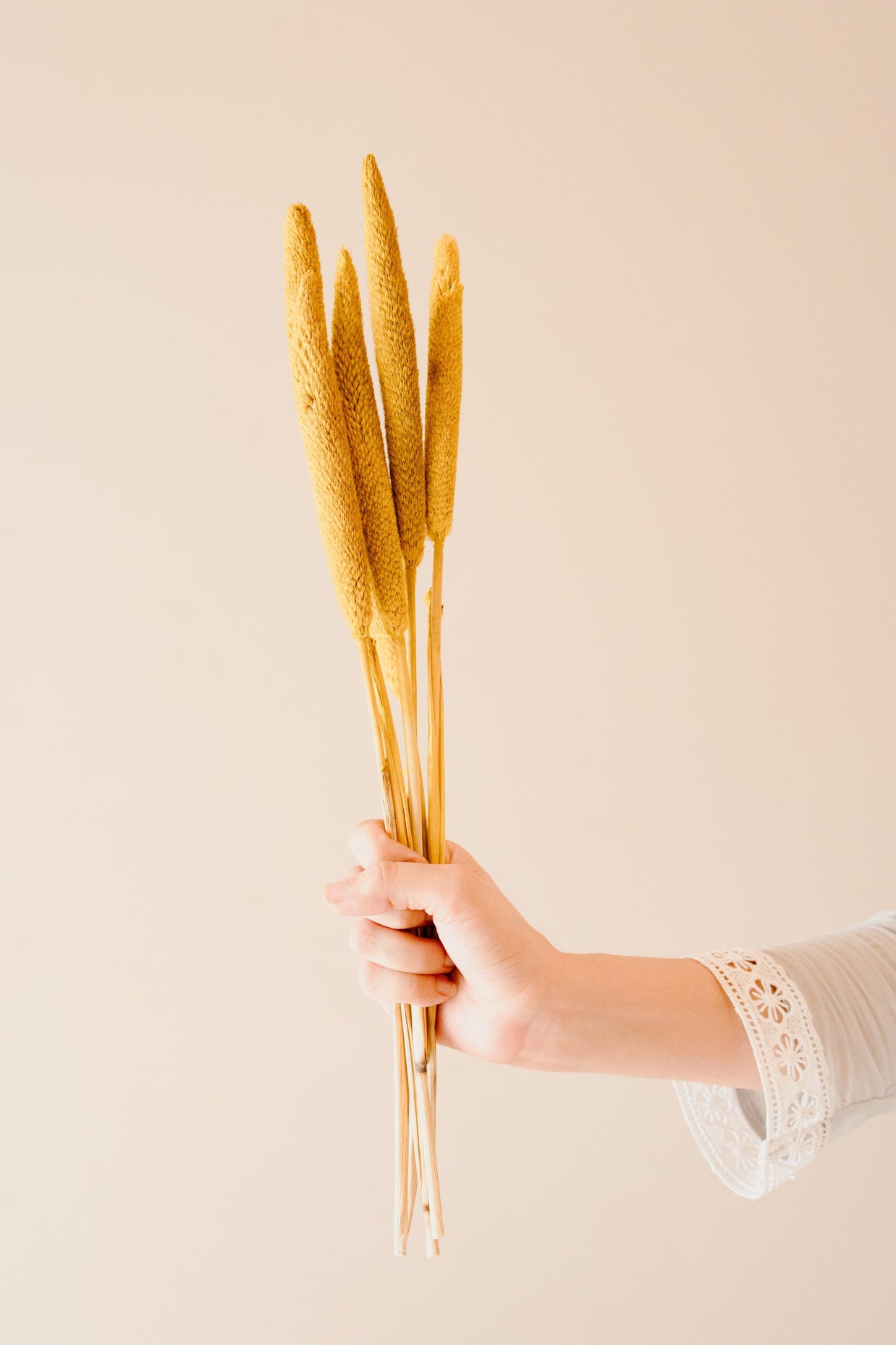 Minimal aesthetic arrangement of yellow dried bazar sticks in a vase for stylish home decor setup
