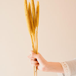 Minimal aesthetic arrangement of yellow dried bazar sticks in a vase for stylish home decor setup