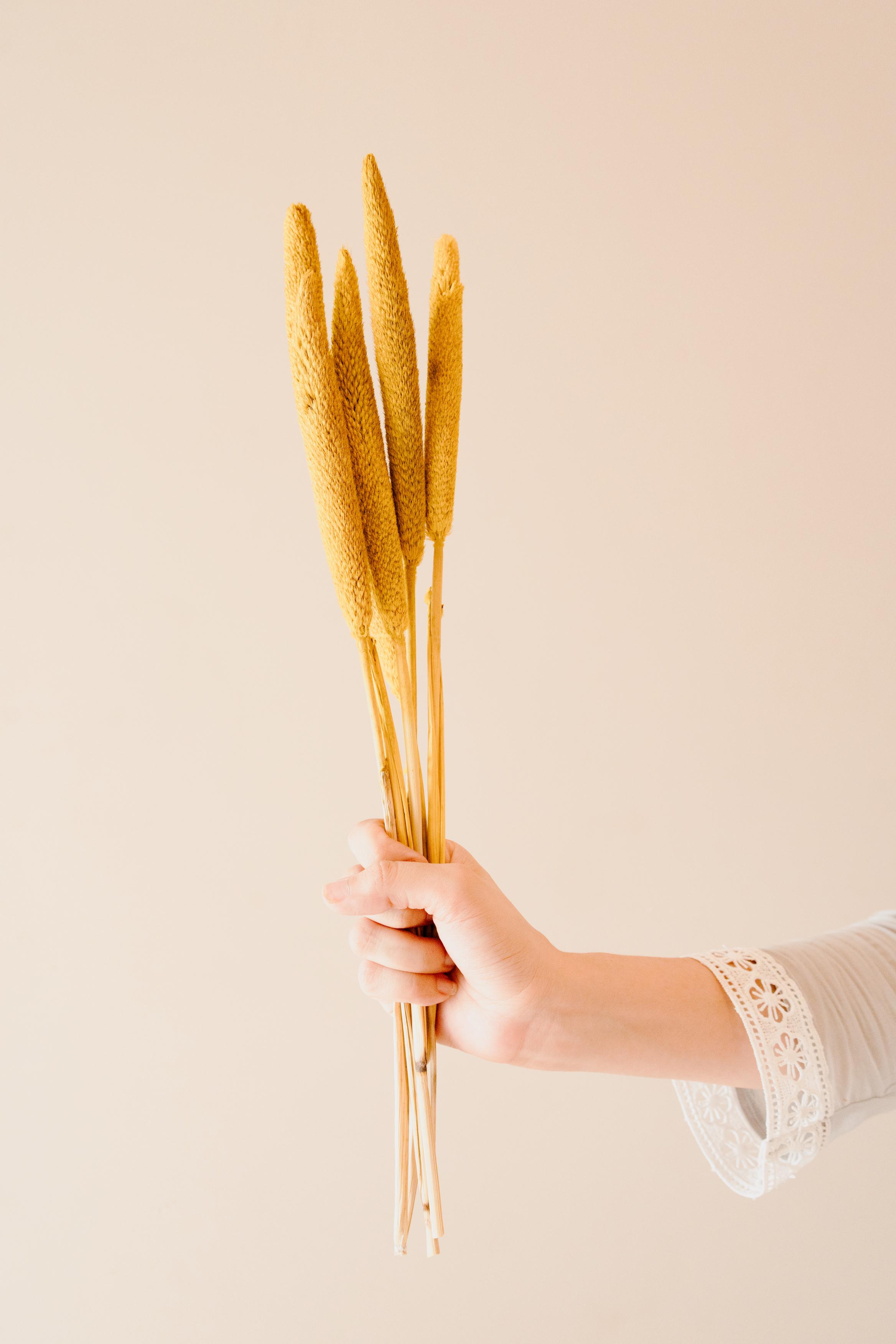Minimal aesthetic arrangement of yellow dried bazar sticks in a vase for stylish home decor setup
