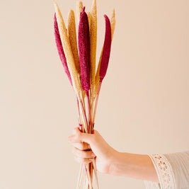 Yellow Pink Bazra Mini Dual Shade Dried Sticks in Decorative Vase