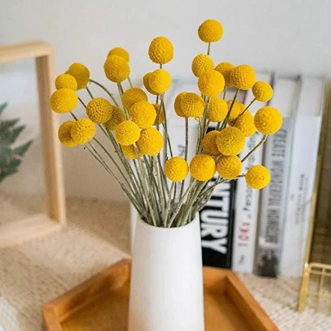 Billy Eucalyptus bunch - https://artecasa.in/