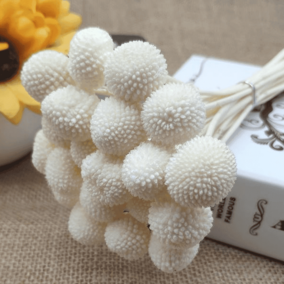 Billy ball-set of 10 - https://artecasa.in/