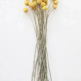 Billy ball yellow-set of 10 - https://artecasa.in/