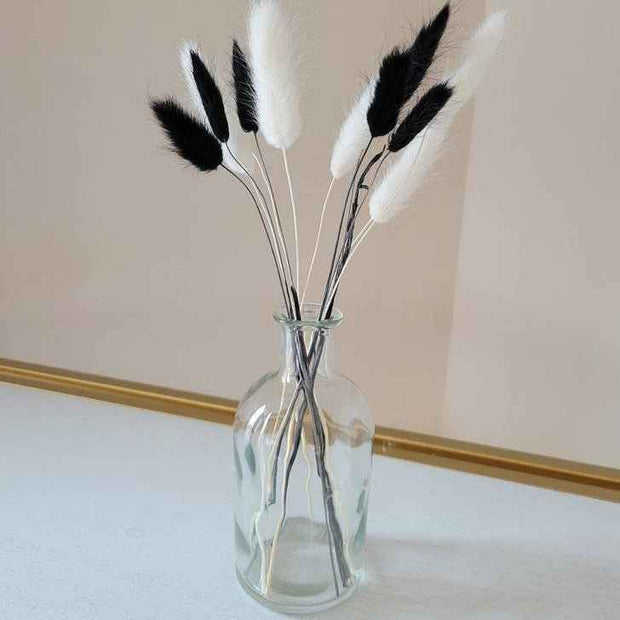 Black Bunny Tails Dried Flowers for Vase | Natural Lagurus Decor