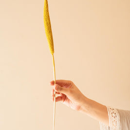 Bright yellow dried bazar sticks used as rustic boho decorative stems for modern interior styling
