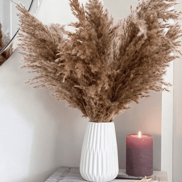 Large Brown Pampas dried flowers for vase decor and aesthetic home styling by ArteCasa