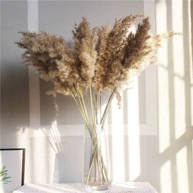 Large Brown Pampas arrangement for boho vase decor and modern home interiors.