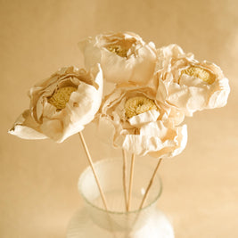 Close-up of Natural Cabbage Flower Dried Stems