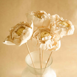 Cabbage Flower dried stems