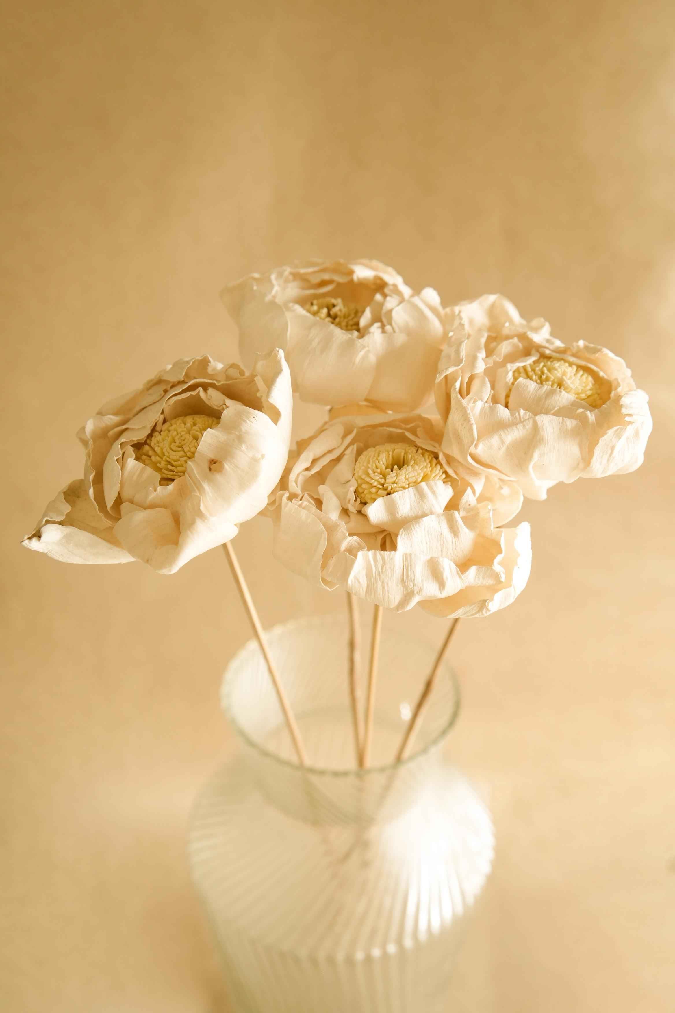 Cabbage Flower dried stems
