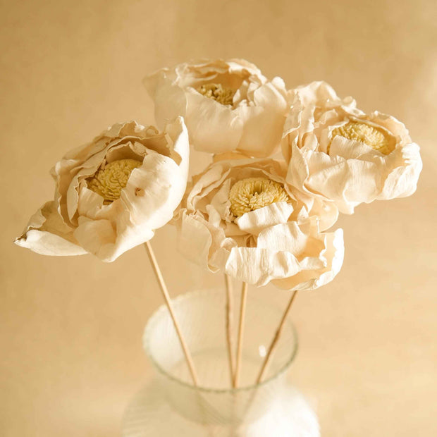 Cabbage Flower dried stems