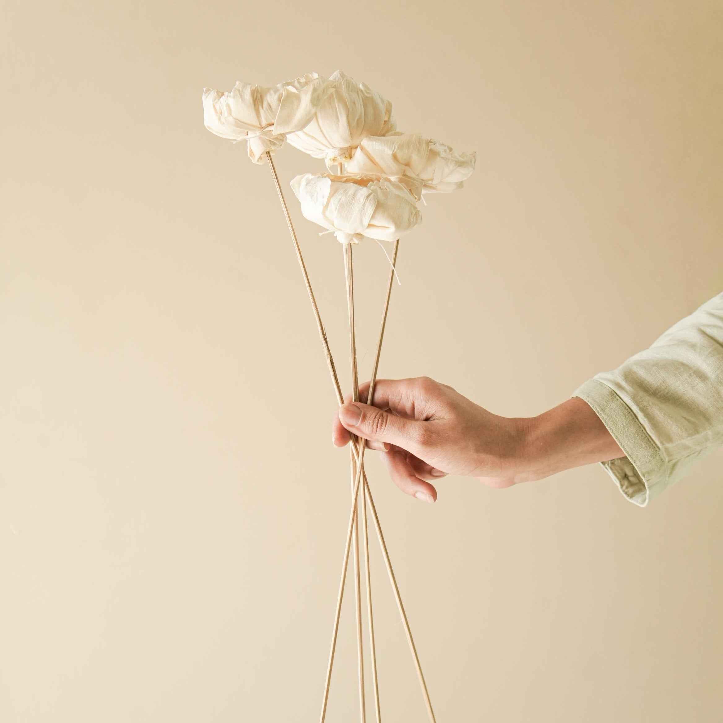 Cabbage Flower dried stems