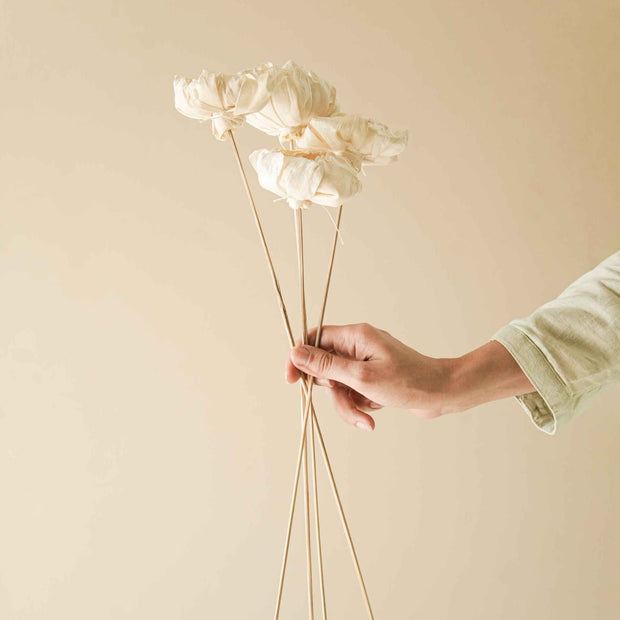 Cabbage Flower dried stems