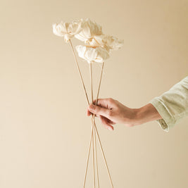 Cabbage Flower Dried Stems for Vase Decor and Home Styling