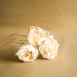 Cabbage Flower Natural Dried Floral Decor for Home Styling