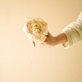 Cabbage Flower Dried Stems for Table and Shelf Decor