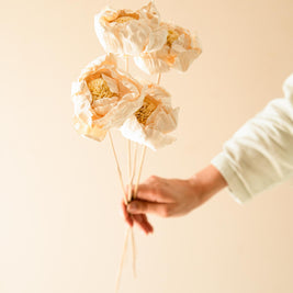 Cabbage Flower Dried Stems Arrangement in Decorative Vase