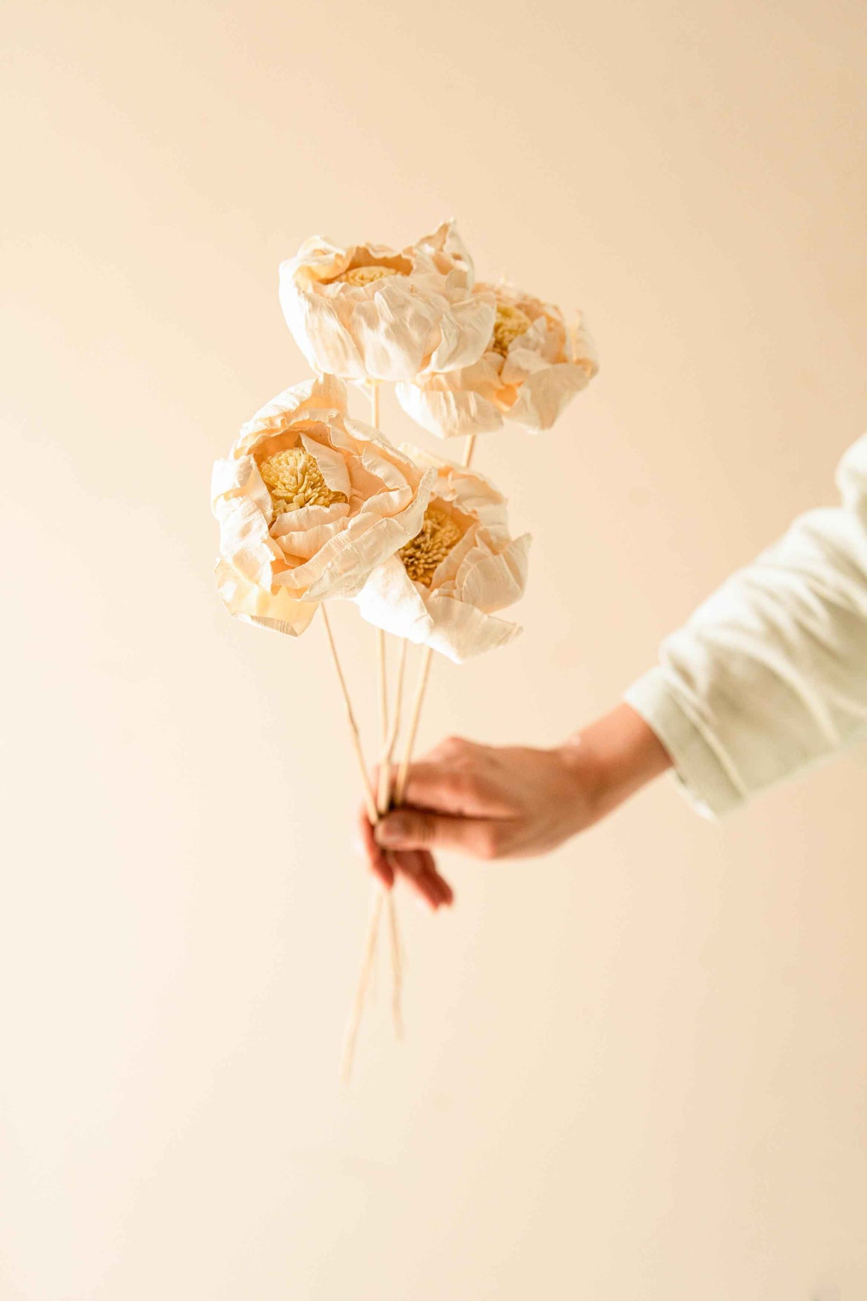 Cabbage Flower dried stems