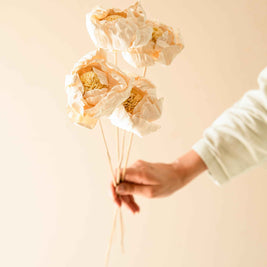 Cabbage Flower dried stems