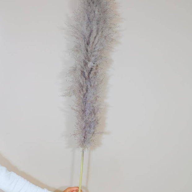 Imported Charcoal Pampas Grass for Interior and Entryway Decor