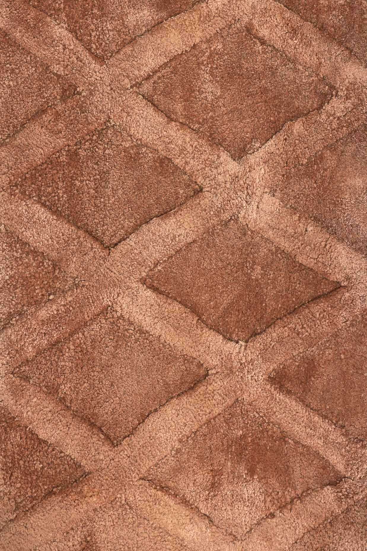 Teera Brown Bamboo Silk 5x8 feet Rectangle Rug - I MEAN DESIGN