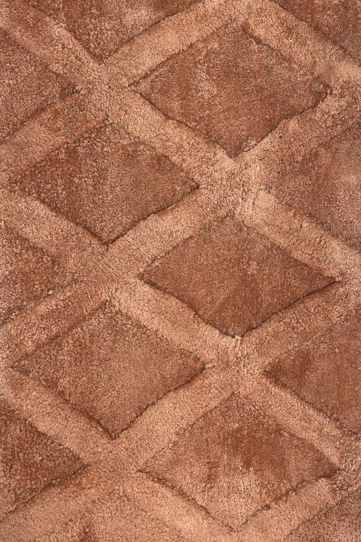 Teera Brown Bamboo Silk 5x8 feet Rectangle Rug - I MEAN DESIGN