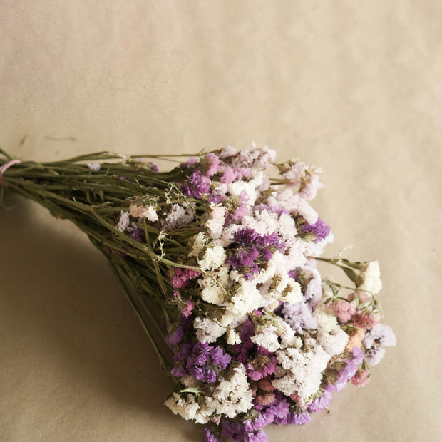 Close up of colourful Statice dried flowers for bouquet and floral arrangements