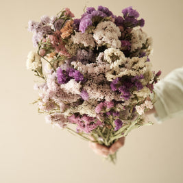 Colourful Statice dried flower arrangement for vase decor and interior styling