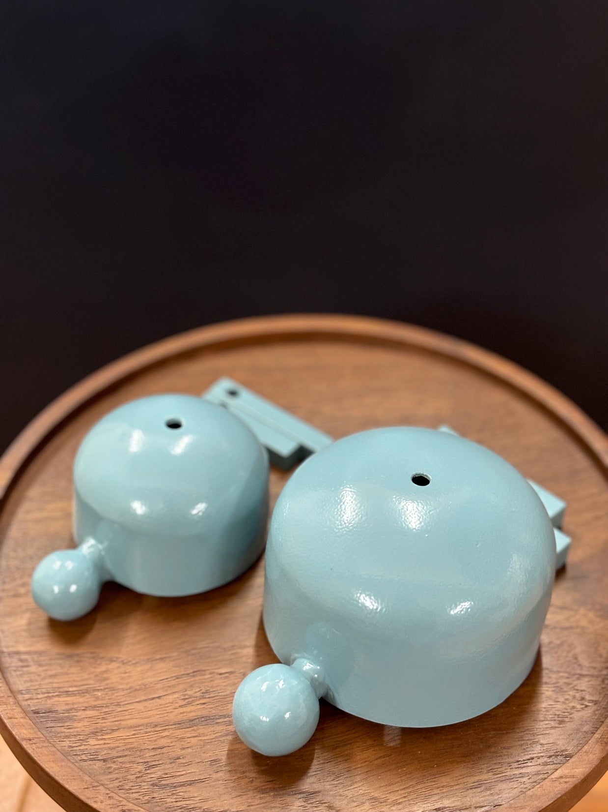 Hanging Turtle Small