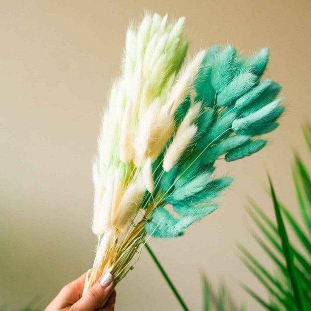 Dark Mint Green Bunny Tails – Premium Dried Flower Bunch