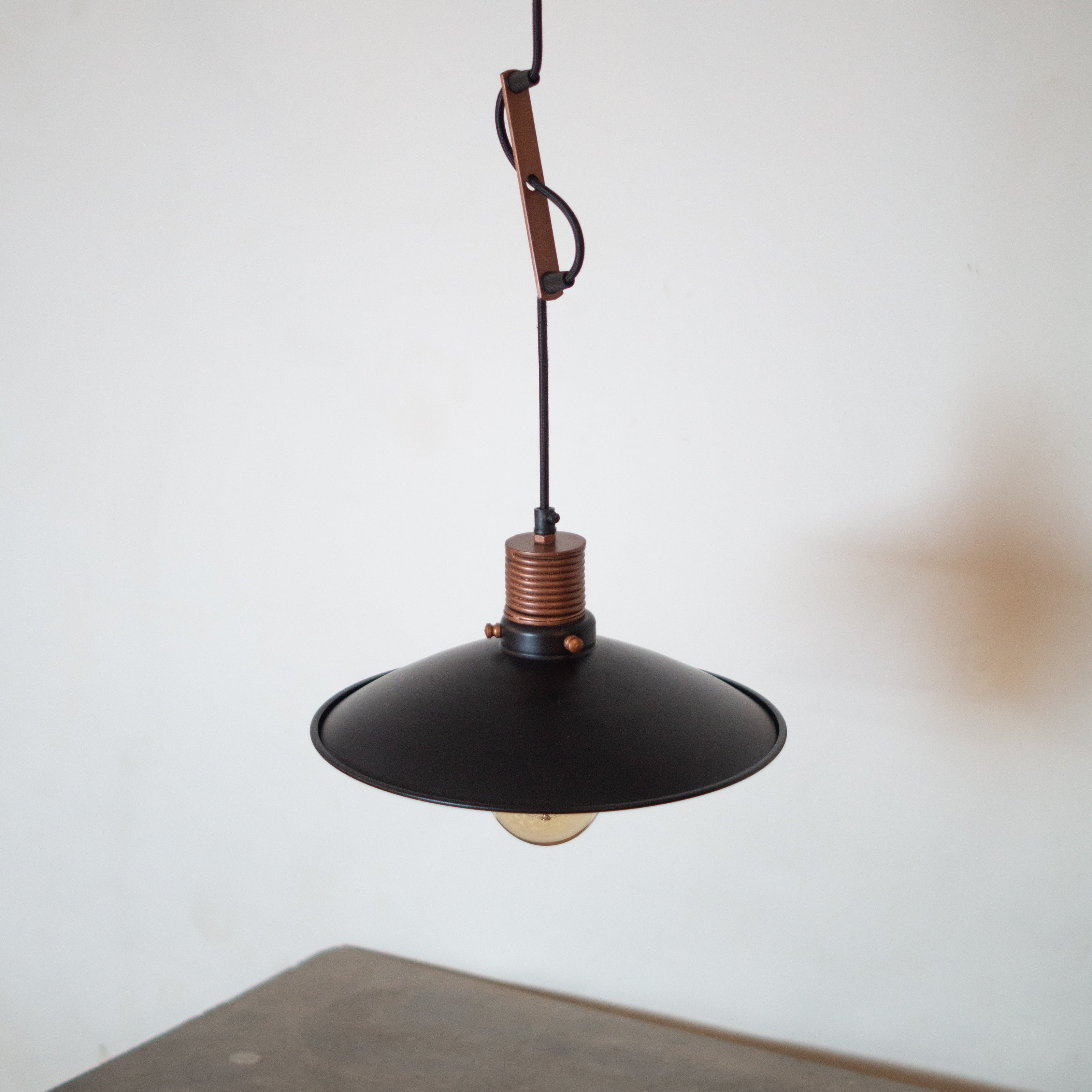 Telegraph Hanging Light
