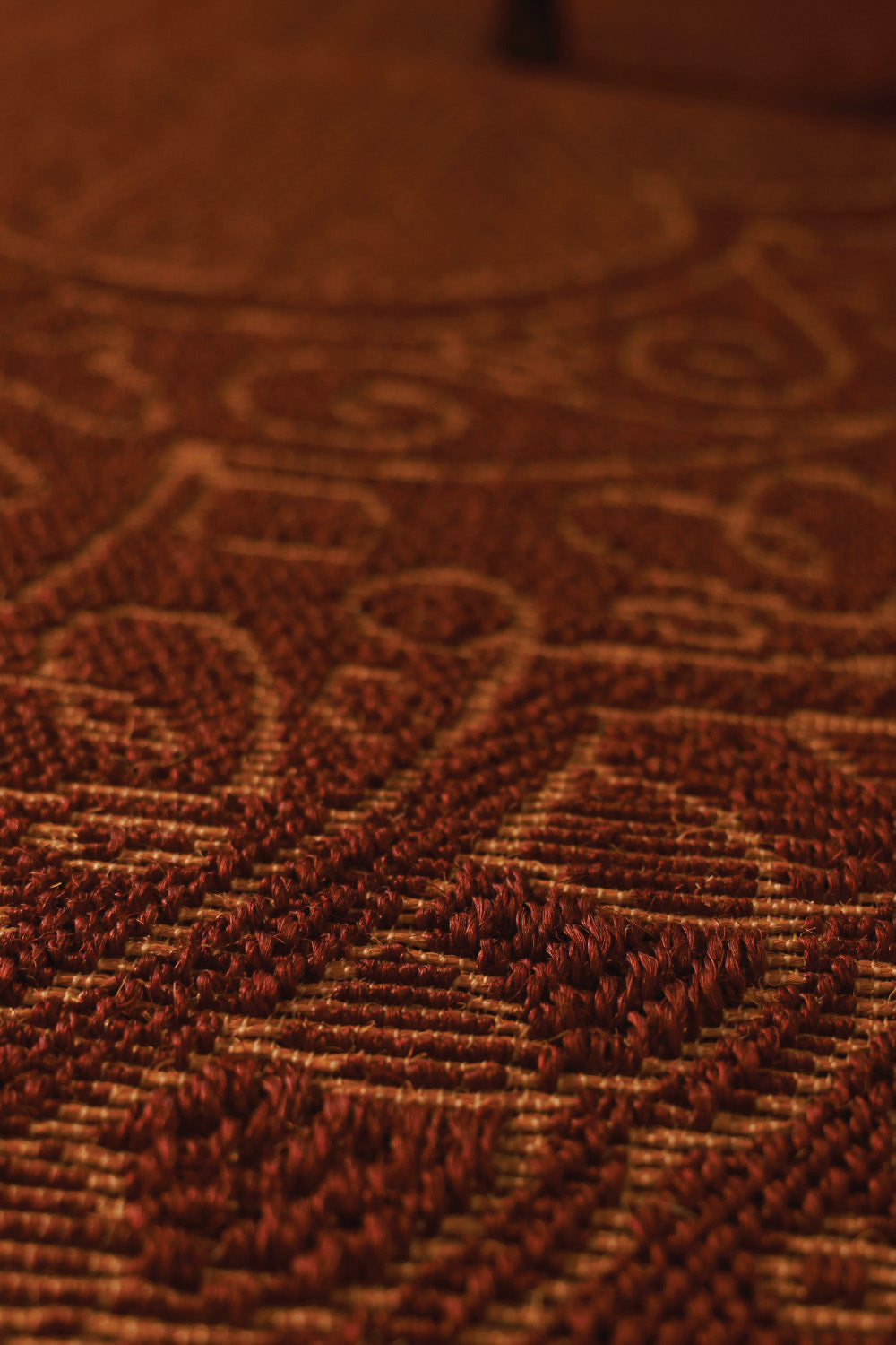 Dharpana Maroon & Gold Sisal 6x9 feet Rectangle Rug - I MEAN DESIGN