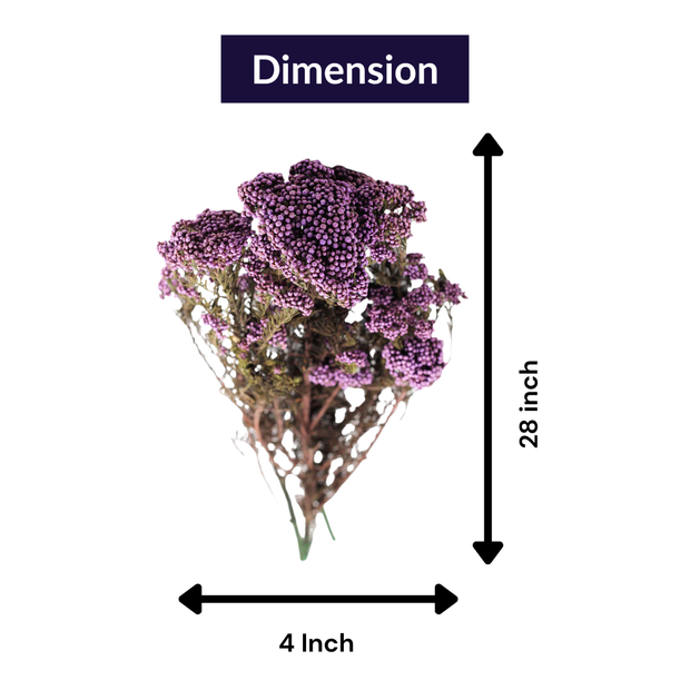 Purple Dried Rice Flower – Natural Forever Floral Décor | ArteCasa - https://artecasa.in/