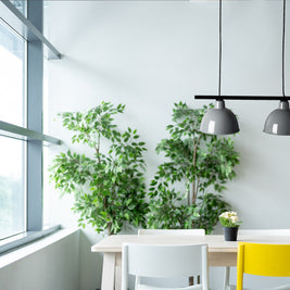 CLR112 Over-Table Dining Light