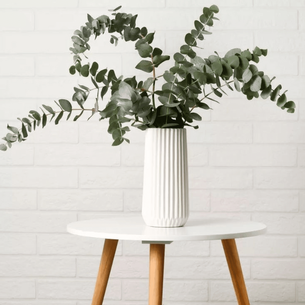 Dried Eucalyptus Leaves Set of 5 Dried Flowers | Natural Shower & Vase Decor