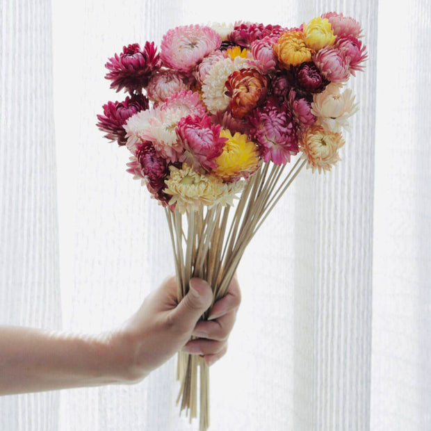 Dried Straw Flowers arrangement for vase styling and modern home decor