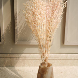 White Peach Dual Colour Limonium Dried Flowers in Decorative Vase
