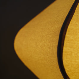 CLH177 Forma Fusion Ceiling Lamp