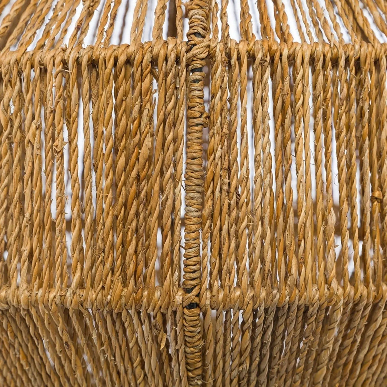 Fern - I MEAN DESIGN