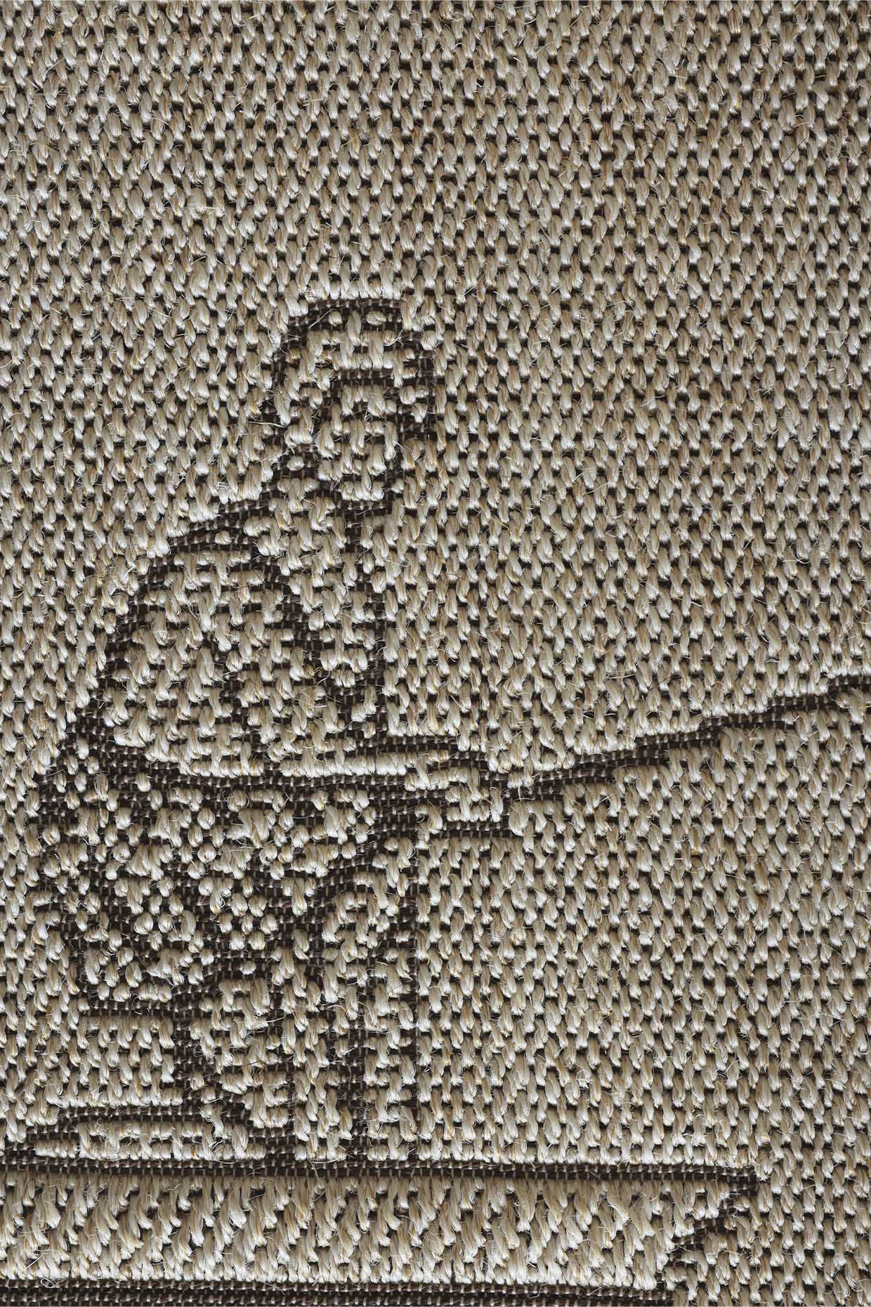 Choonda Beige Sisal 6x9 feet Rectangle Rug - I MEAN DESIGN