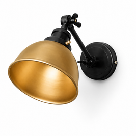 CWS236 Industrial Reach Wall Sconce
