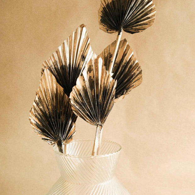 Golden Black Palm Leaves Dried Decor | Set of 5 Palm Spears
