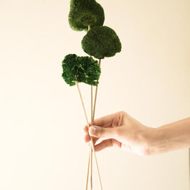 Green Sponge Mushroom Decorative Stem for Home Styling
