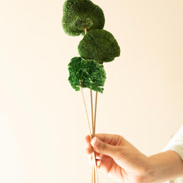 Green Sponge Mushroom Dried Flower in Decorative Vase Arrangement