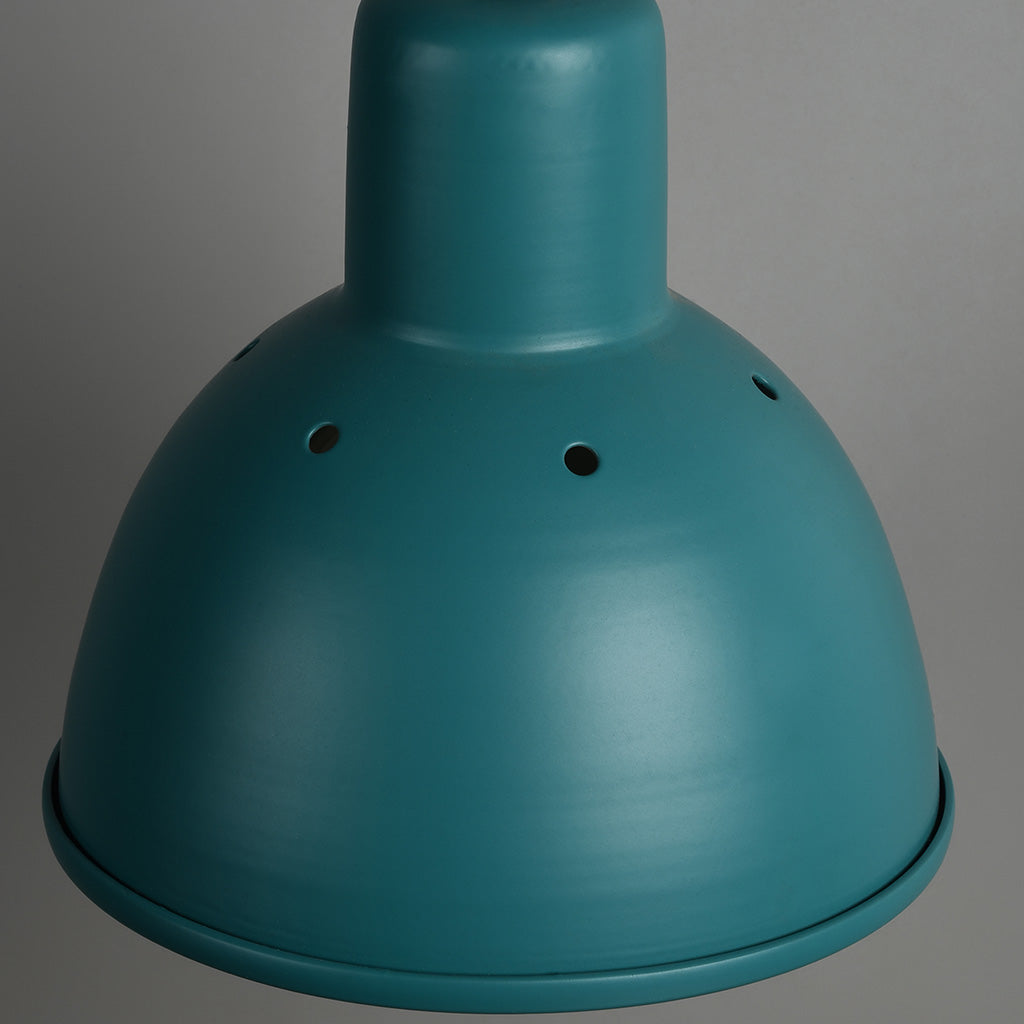 Hawk Pendant Light