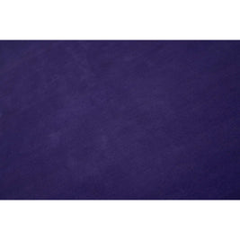 I C O N - P U R P L E