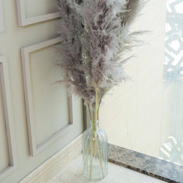 Imported Charcoal Pampas XL Set of 5 Stems for Home Decor